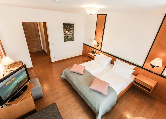 Hotel Landidyll Zum Alten Schloss 3*