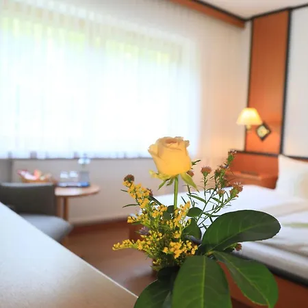 Hotel Landidyll Zum Alten Schloss 3*