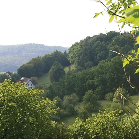 Landidyll Zum Alten Schloss 3* キルヒェンシッテンバッハ