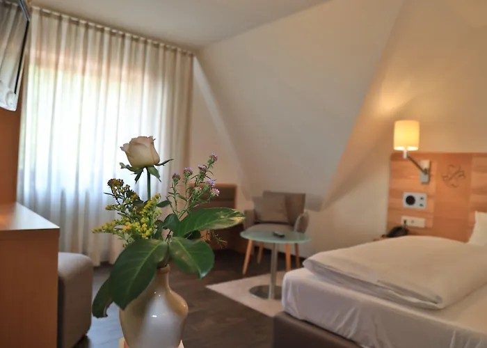 فندق Landidyll Zum Alten Schloss 3*